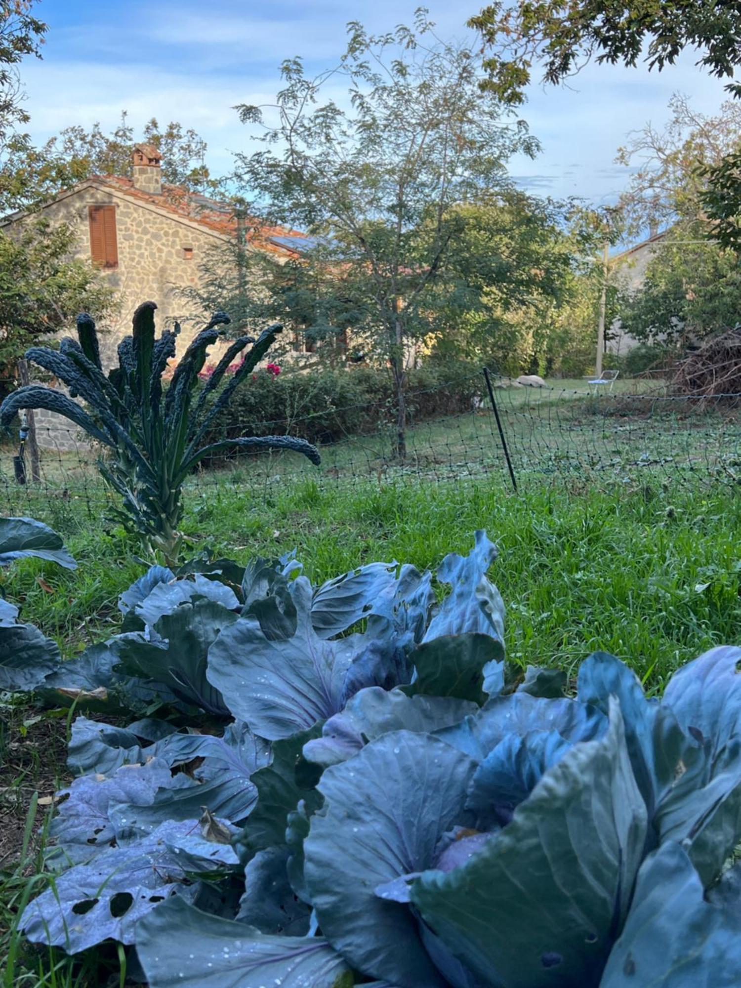 B&B Podere Legnotorto กาสเตลเดลปิอาโน ภายนอก รูปภาพ